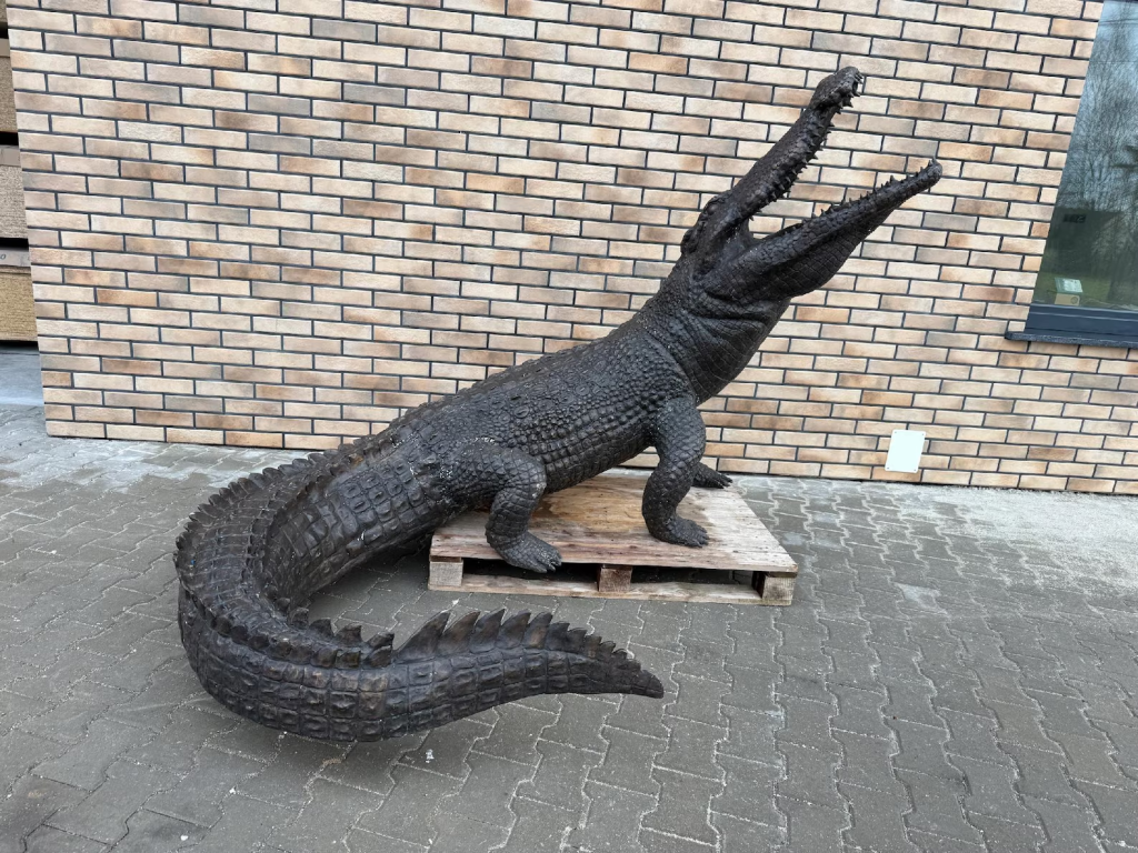 large bronze crocodile sculpture with detailed texture