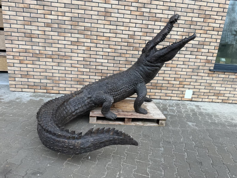 large bronze crocodile sculpture with detailed texture